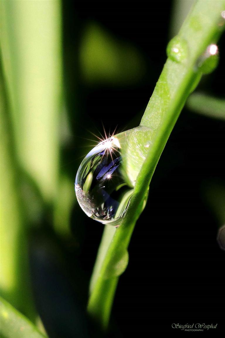 16. Wassertropfen, 6 mm Acrylglas | 60 x 90 cm | 235,- €