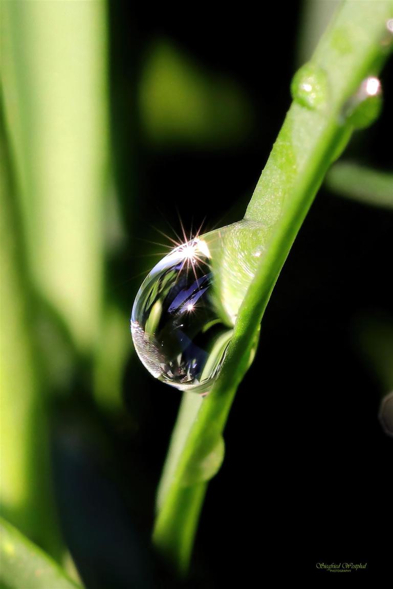 16. Wassertropfen, 3 mm Acrylglas vor Alu-Dibond | 60 x 90 cm | 235,- €