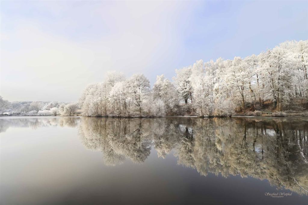71. Winterzauber 1 | 3 mm Acrylglas vor Alu-Dibond | 90 x 60 cm | 235,- €
