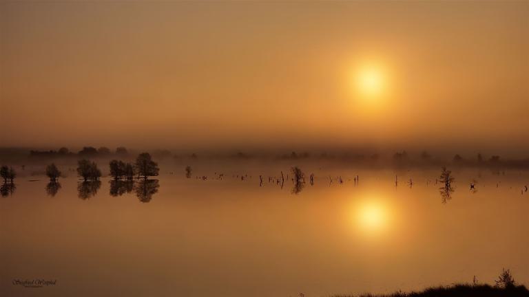 88. Sonne im Nebel, 3 mm Acrylglas vor Alu-Dibond | 80 x 45 cm | 195,- €