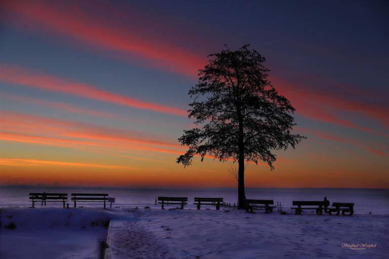 68. Morgenstimmung Dümmer, 3 mm Acrylglas vor Alu-Dibond | 90 x 60 cm | 235,- €